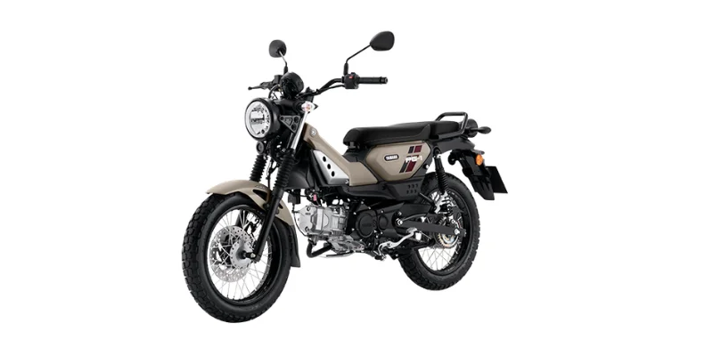 Yamaha pg-1