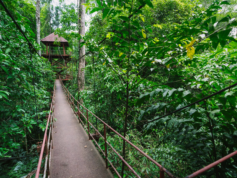 5-places-to-visit-in-Trang_3