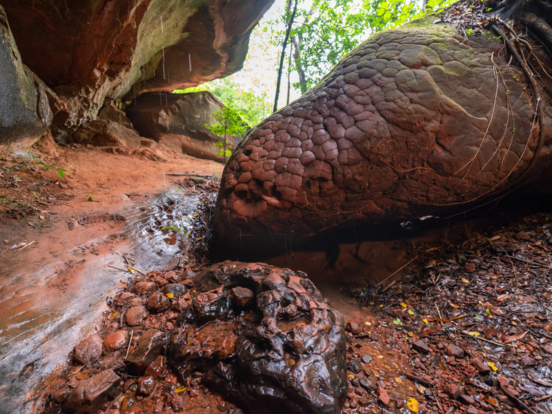 5-Unseen-Places-to-Visit-in-Bueng-Kan_4