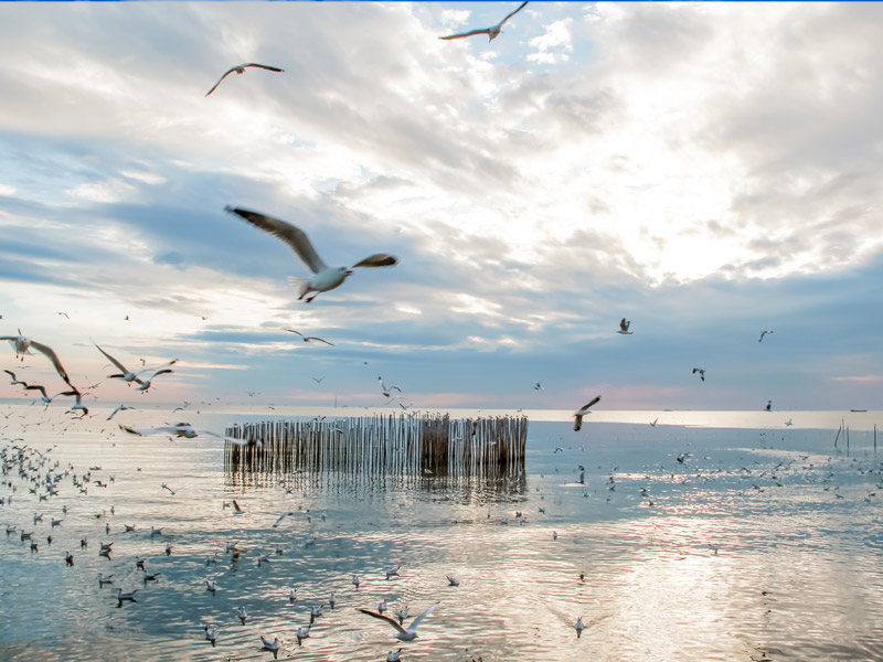 One-Day-Trip-Ride-a-Motorcycle-to-Bang-Pu_6