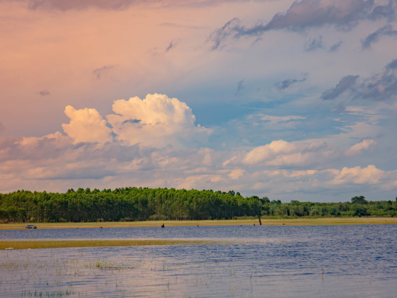 Yamaha-Grand-Filano-Hybrid-Travel-to-Paet-Riu_8