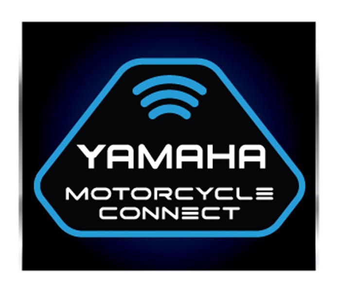 New Yamaha R15 2024 (19)