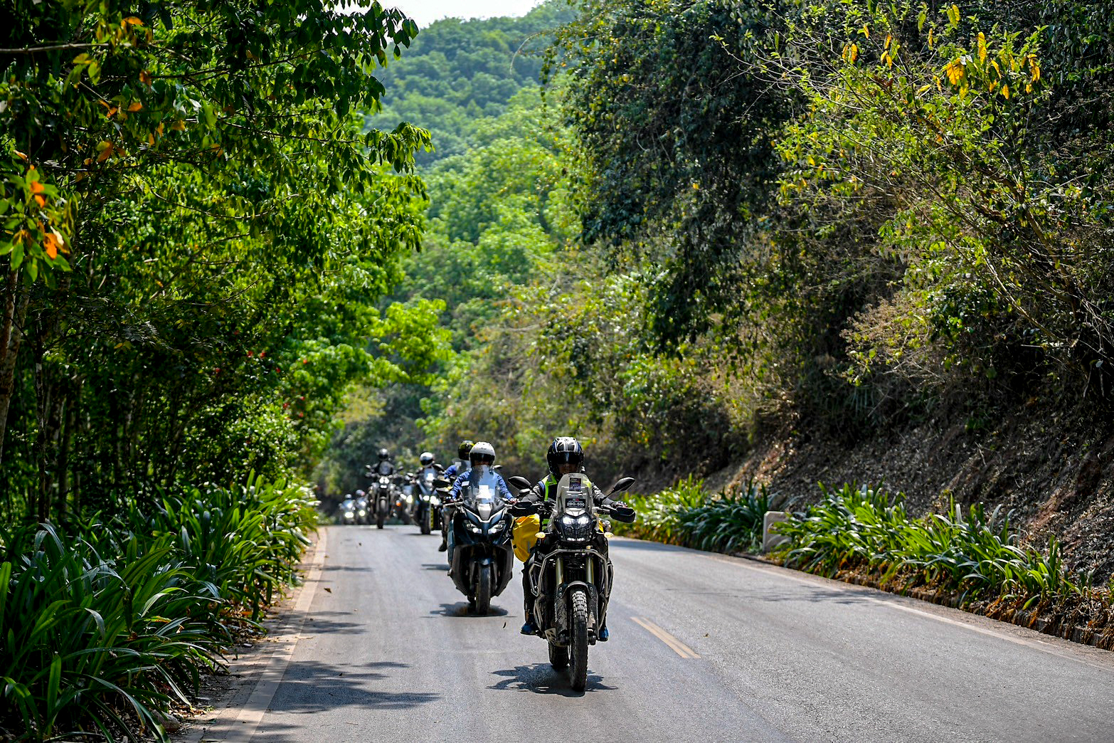 LINE_ALBUM_15367_240315_37