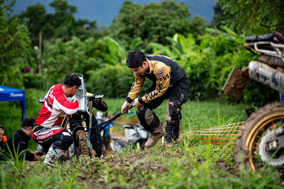 YB3_4279