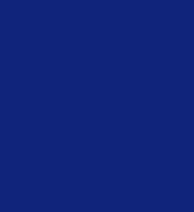 Icon-Blue